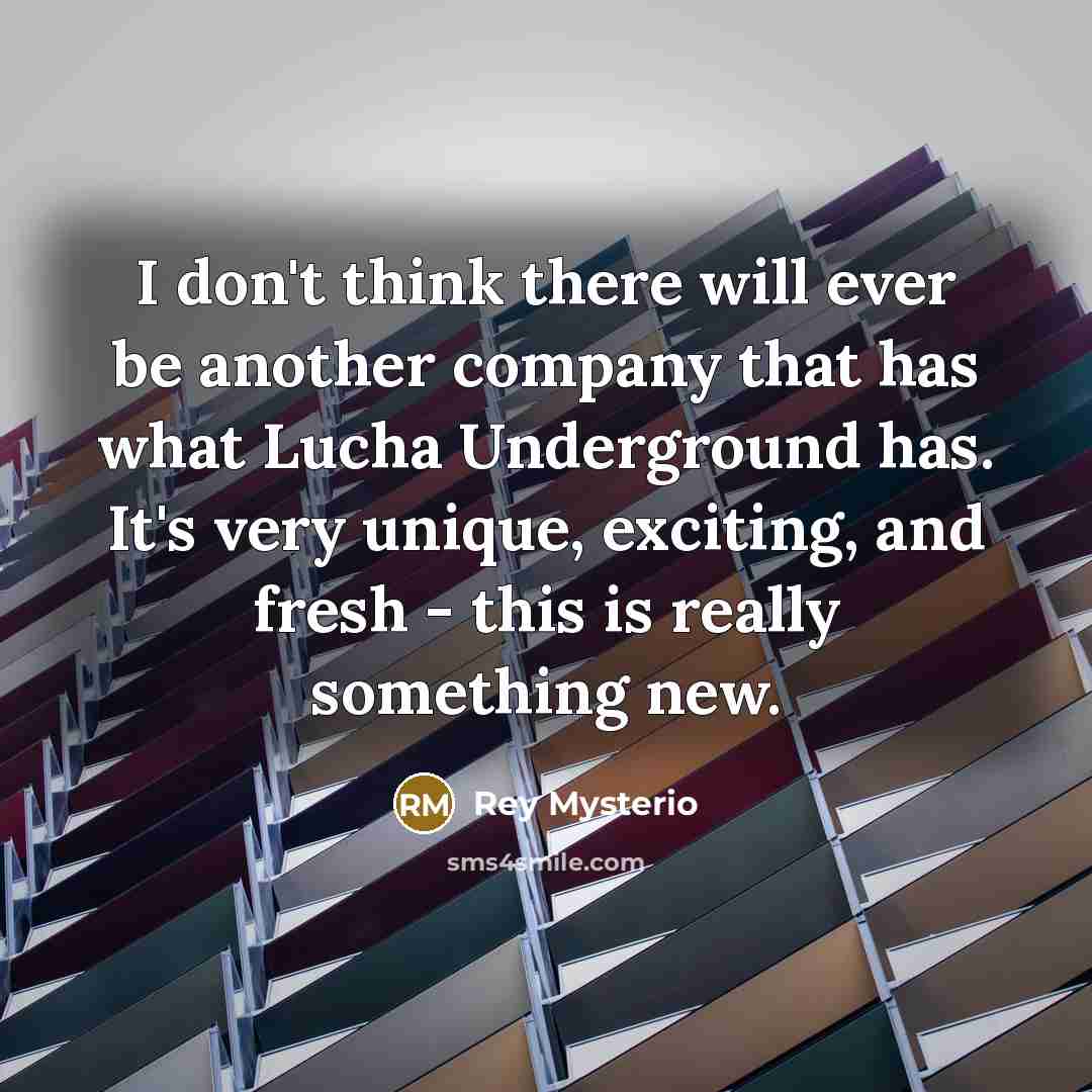 “I don't think there will ever be another company that…” quote by Rey Mysterio