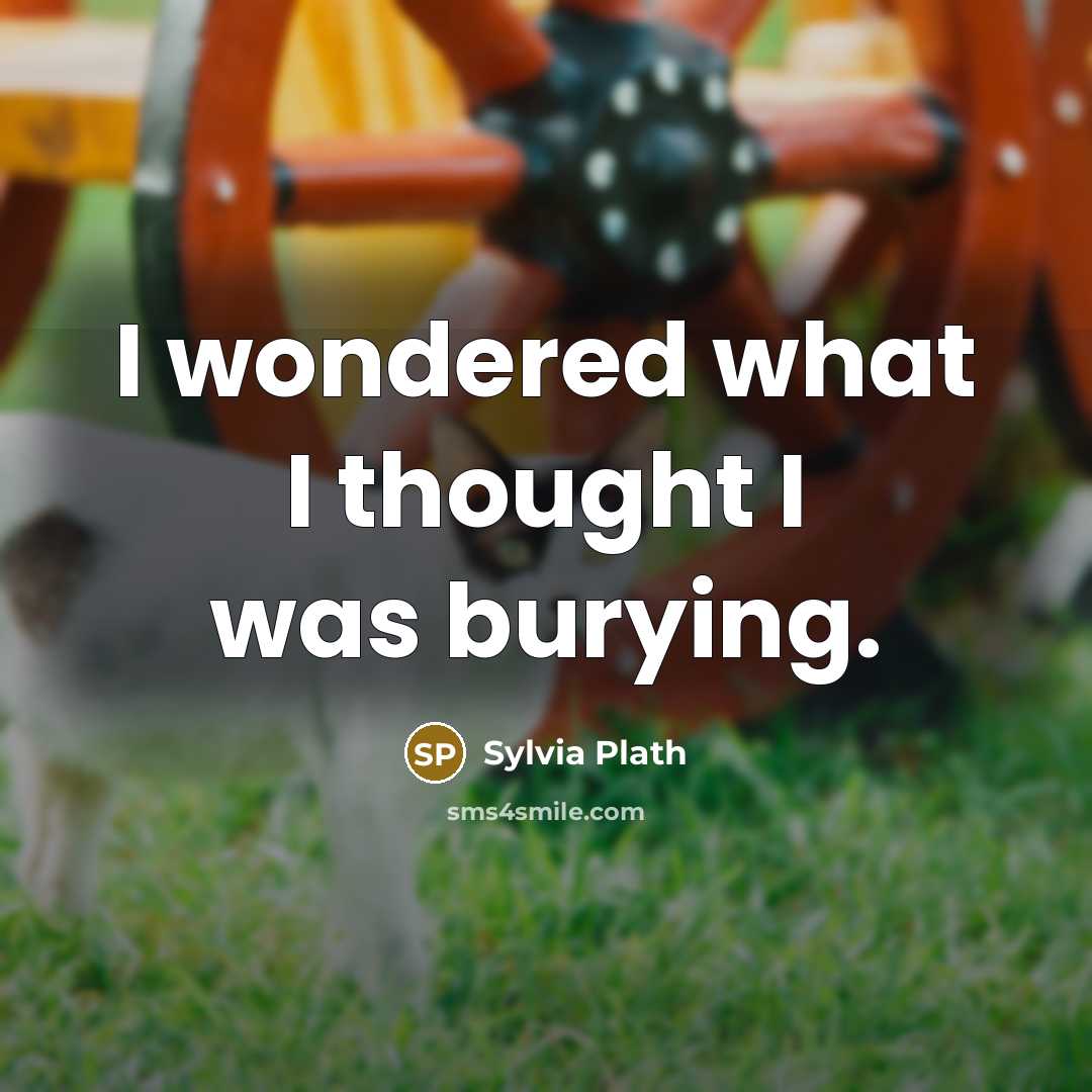 “I wondered what I thought I was burying.…” quote by Sylvia Plath