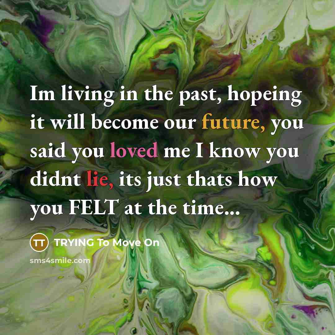 “Im living in the past, hopeing it will become our future, you said you loved me I know you didnt lie, its just thats how you FELT at the time...” quote by TRYING To Move On