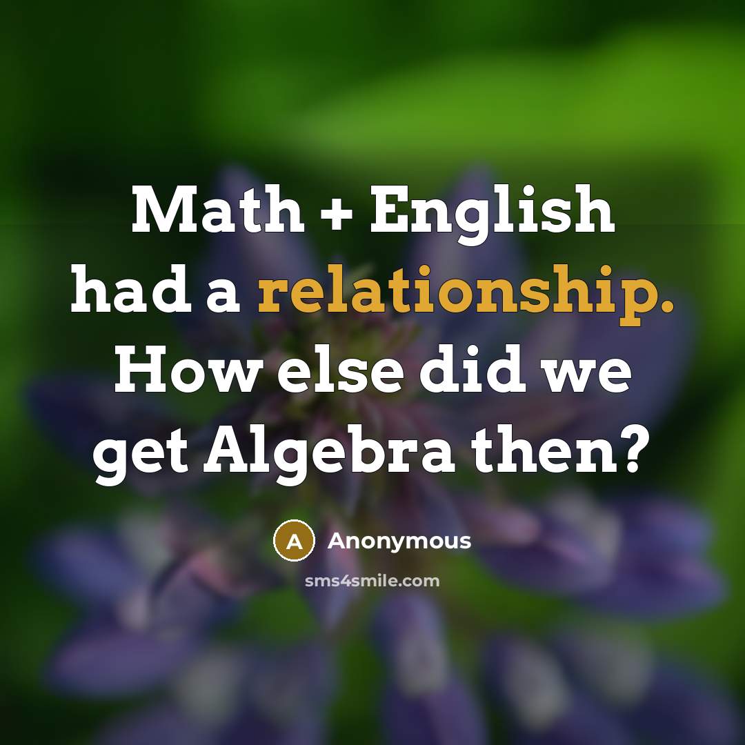 “Math + English had a relationship. How else did we get Algebra then?” quote by Anonymous
