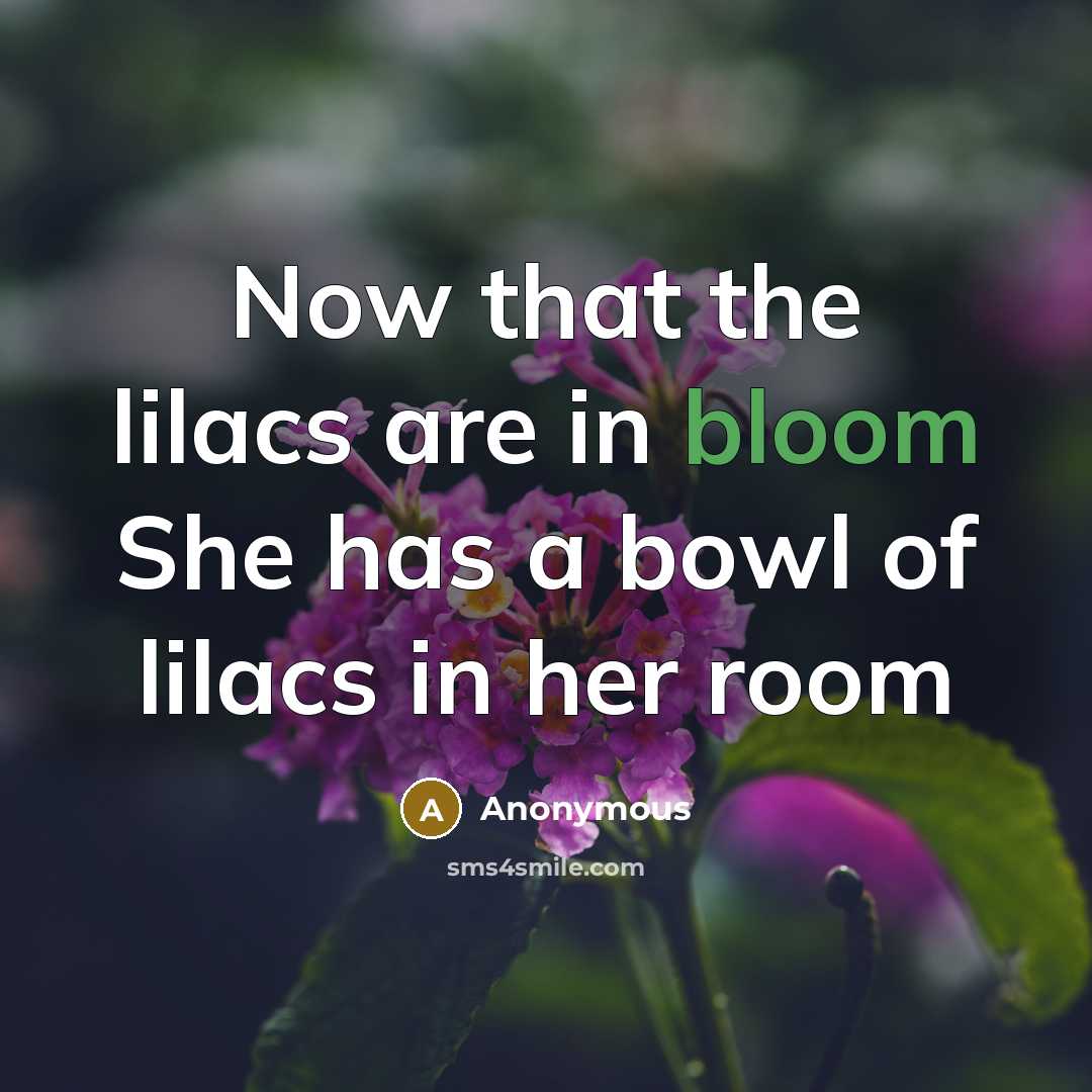 “Now that the lilacs are in bloom She has a…” quote by Anonymous