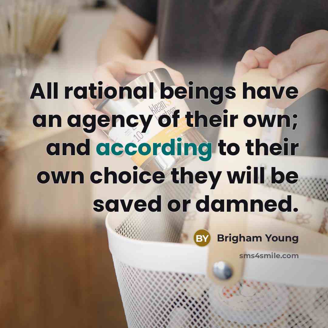 “All rational beings have an agency of their own; and…” quote by Brigham Young