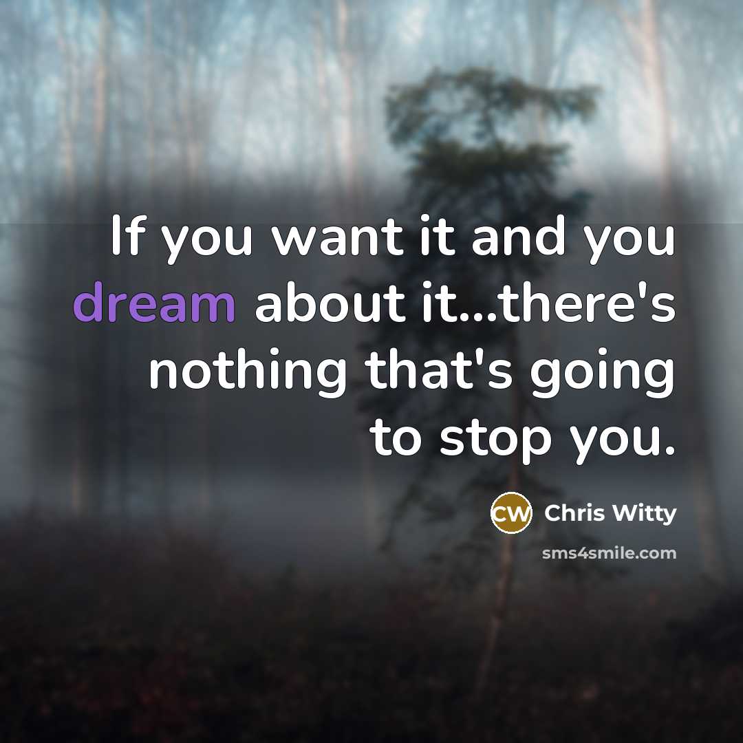 “If you want it and you dream about it...there's nothing…” quote by Chris Witty