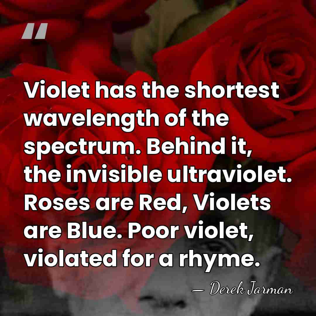 Violet has the shortest wavelength of the spectrum. Behind it, the invisible&hellip; - Derek Jarman