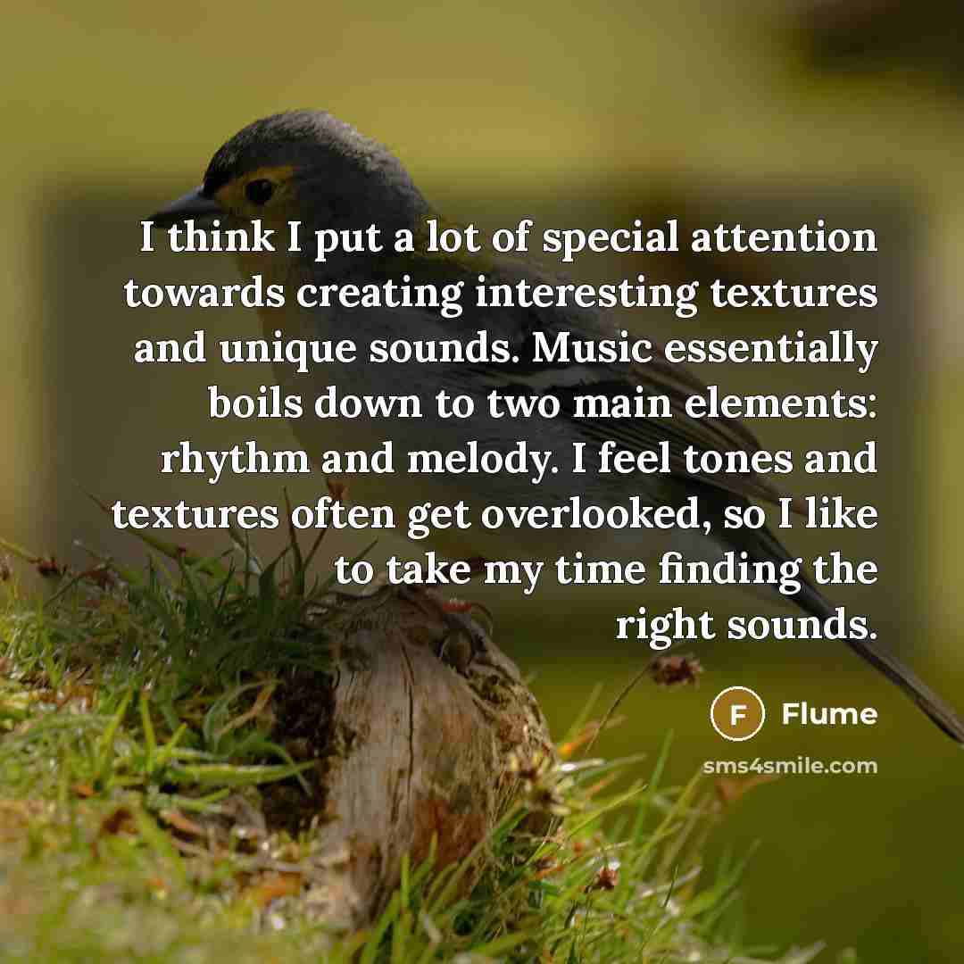 “I think I put a lot of special attention towards…” quote by Flume