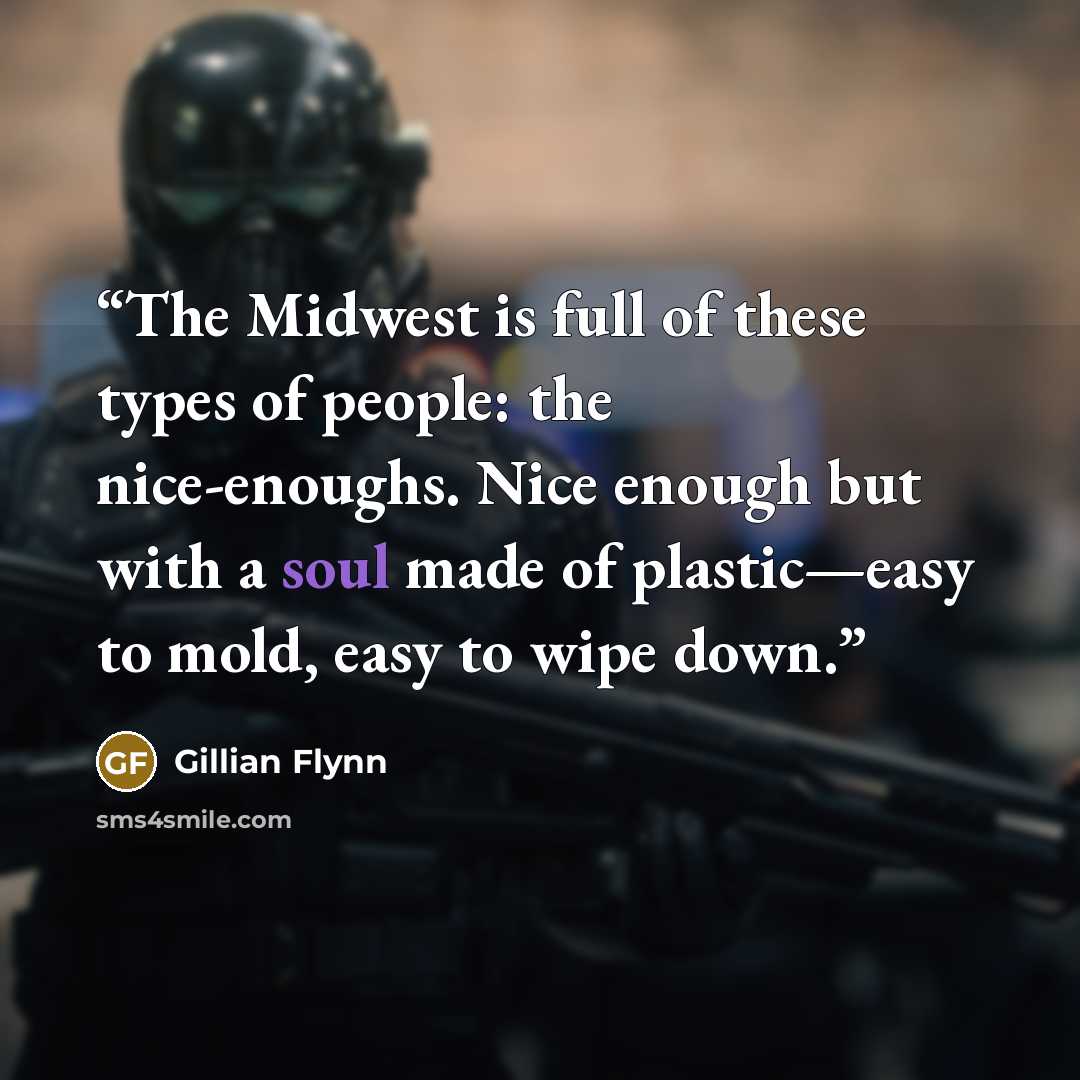 “The Midwest is full of these types of people: the nice-enoughs. Nice enough but with a soul made of plastic—easy to mold, easy to wipe down.” quote by Gillian Flynn