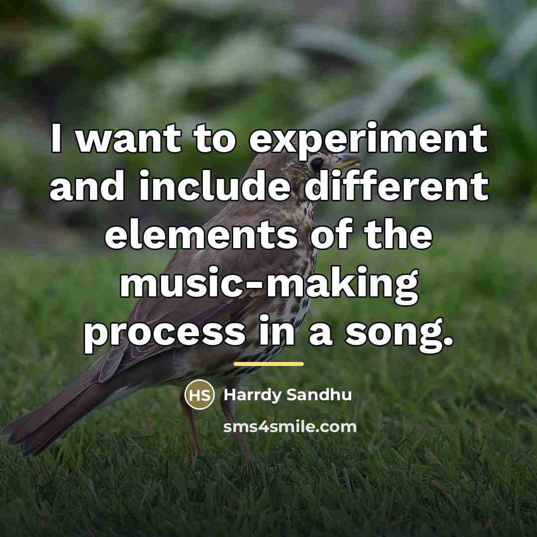“I want to experiment and include different elements of the…” quote by Harrdy Sandhu