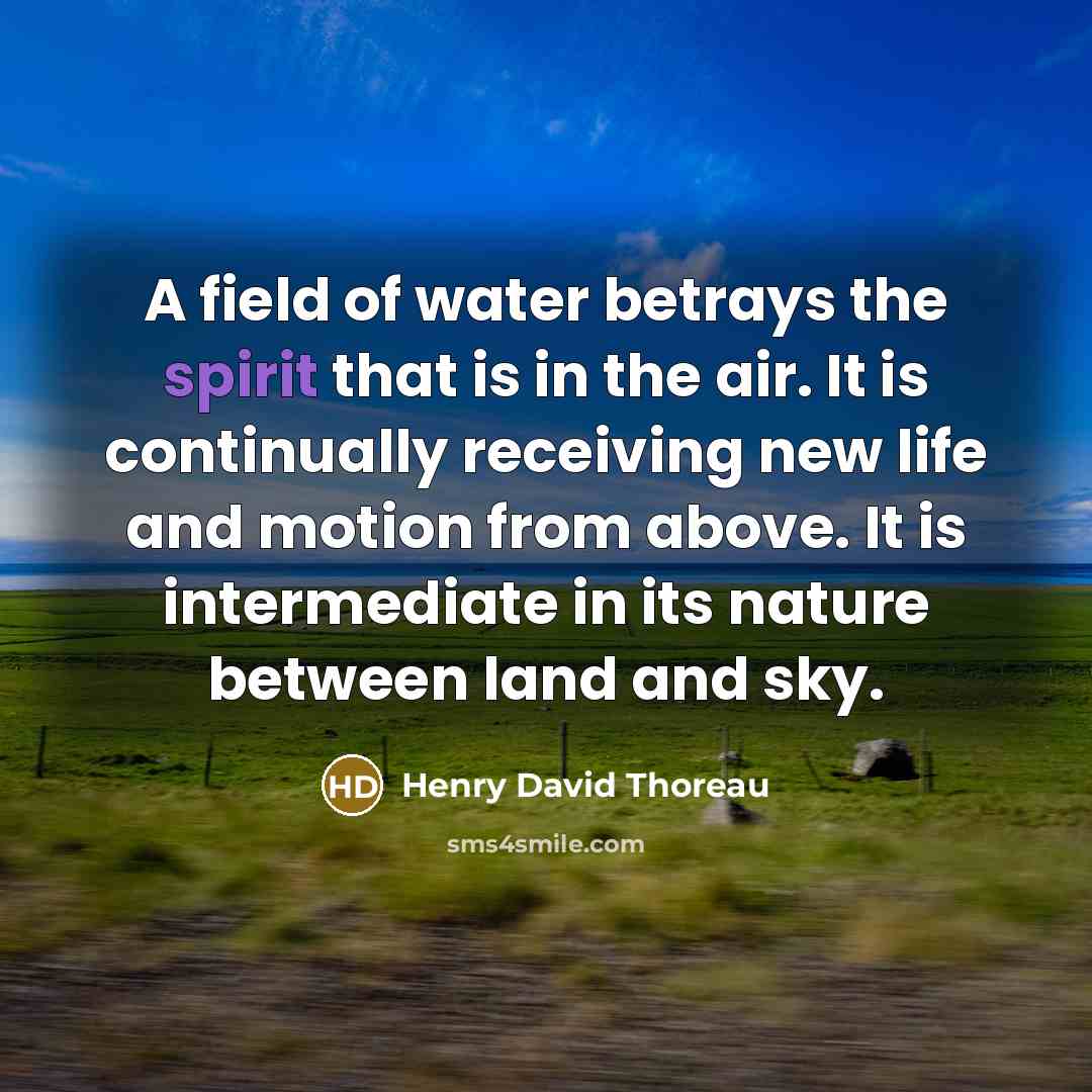 “A field of water betrays the spirit that is in…” quote by Henry David Thoreau