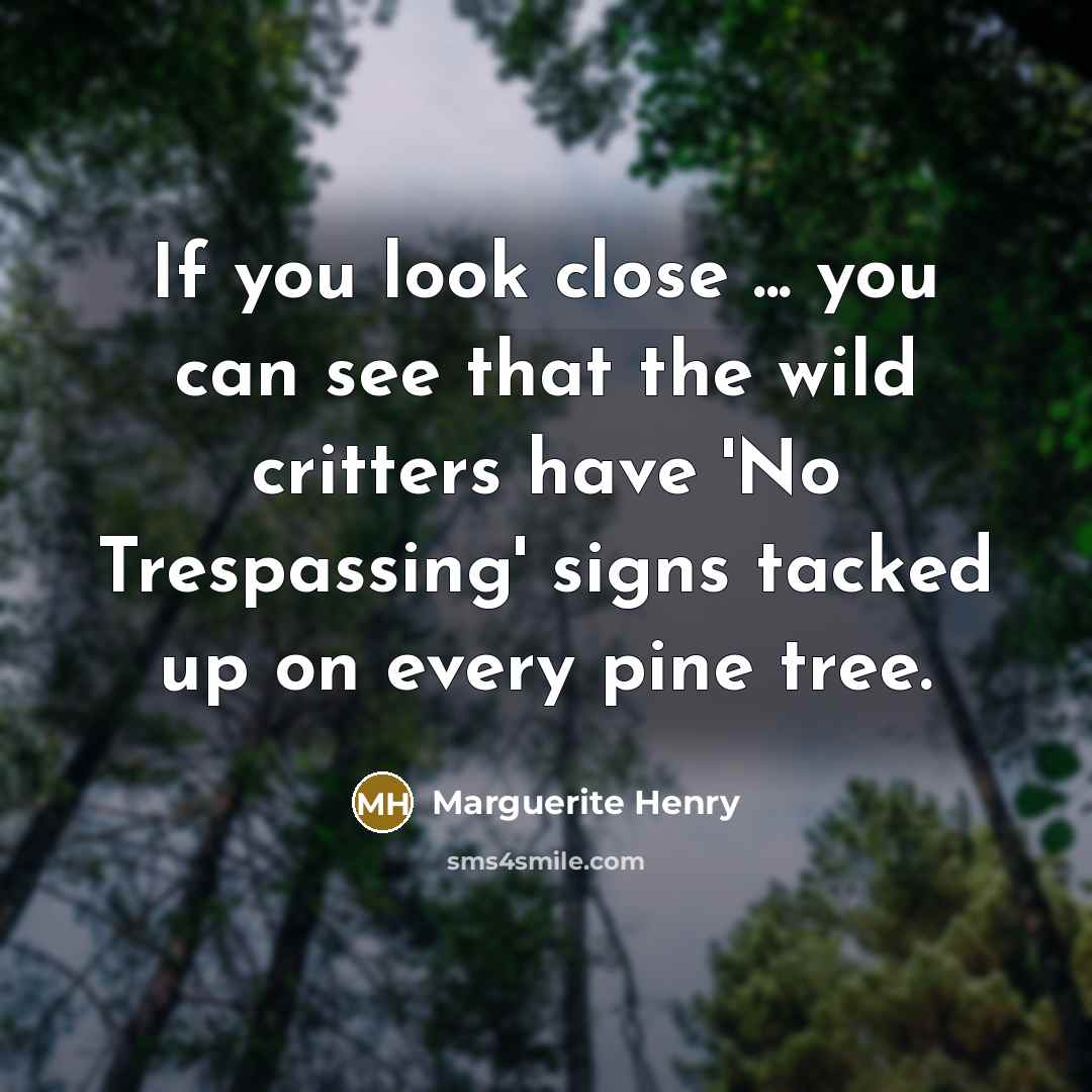 “If you look close ... you can see that the…” quote by Marguerite Henry