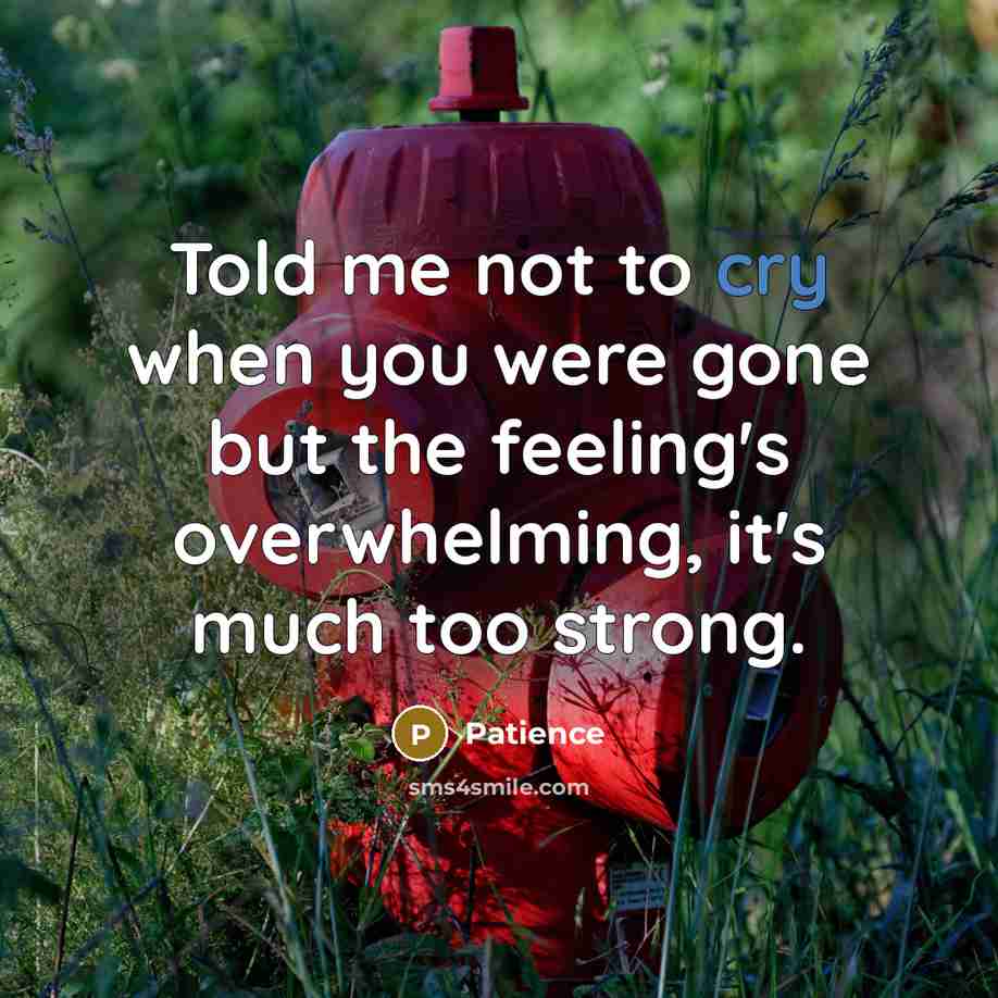 “Told me not to cry when you were gone but…” quote by Patience