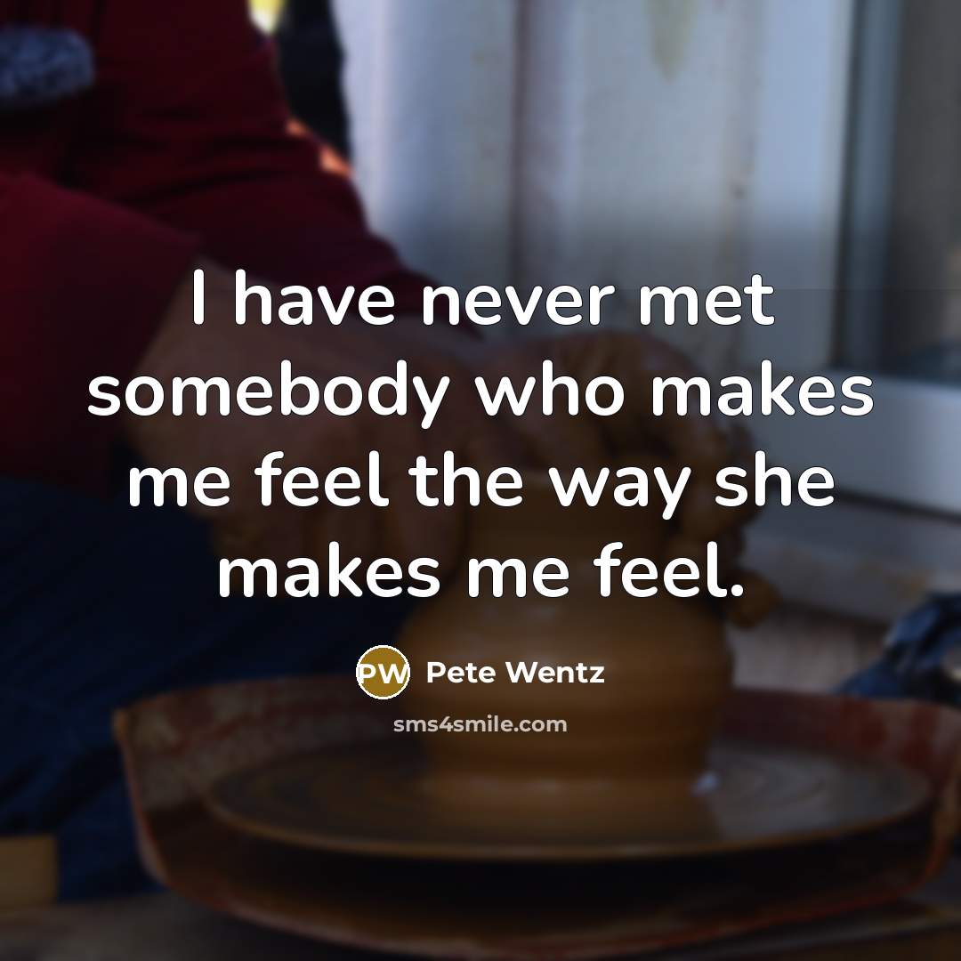 “I have never met somebody who makes me feel the…” quote by Pete Wentz