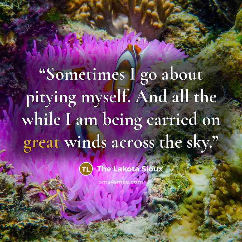 “Sometimes I go about pitying myself. And all the while I am being carried on great winds across the sky.” quote by The Lakota Sioux