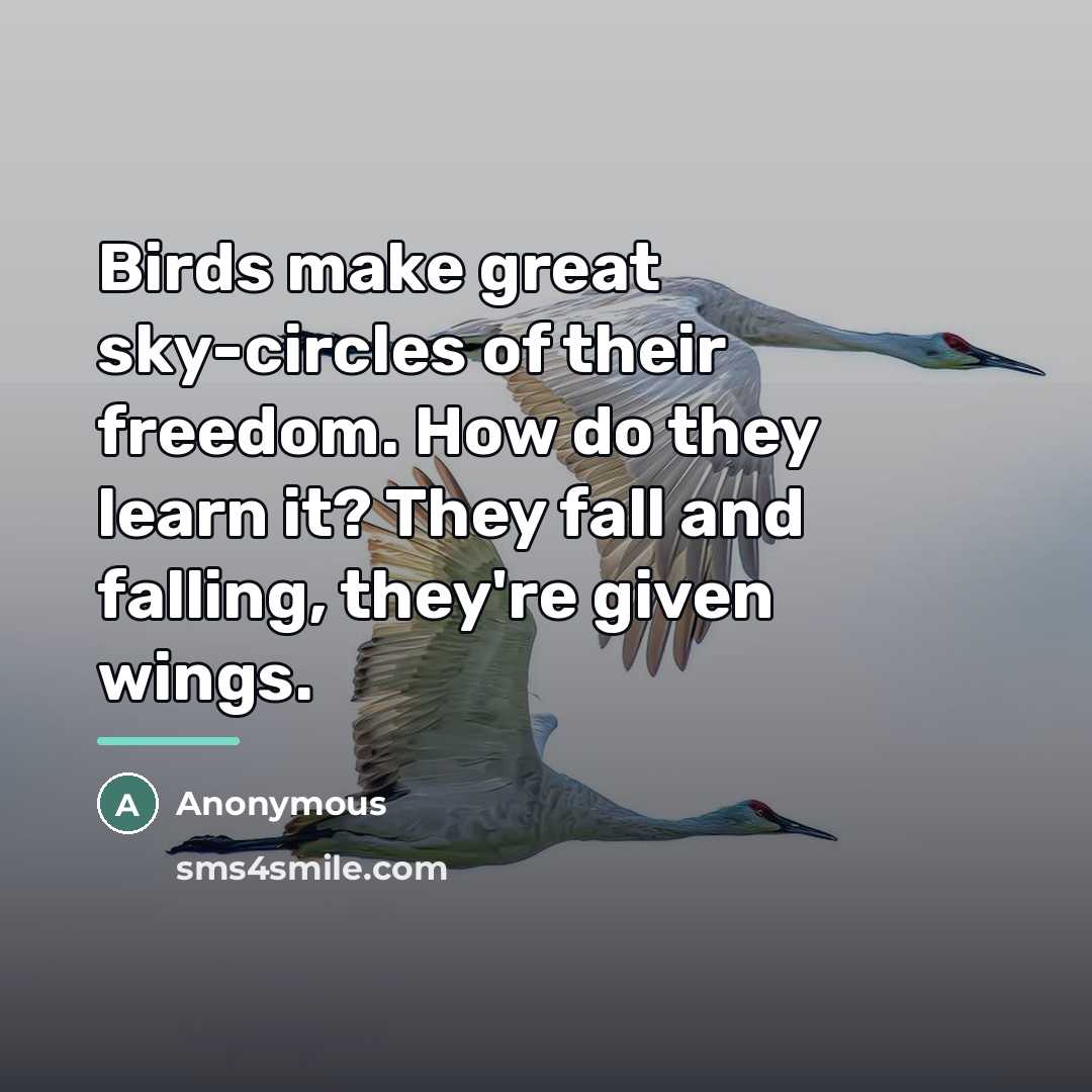 “Birds make great sky-circles of their freedom. How do they…” quote by Anonymous