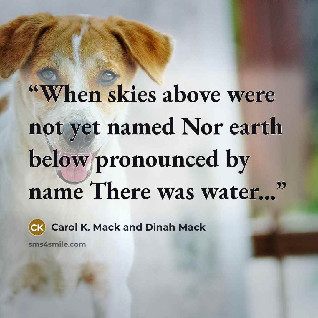 “When skies above were not yet named Nor earth below pronounced by name There was water...” quote by Carol K. Mack and Dinah Mack