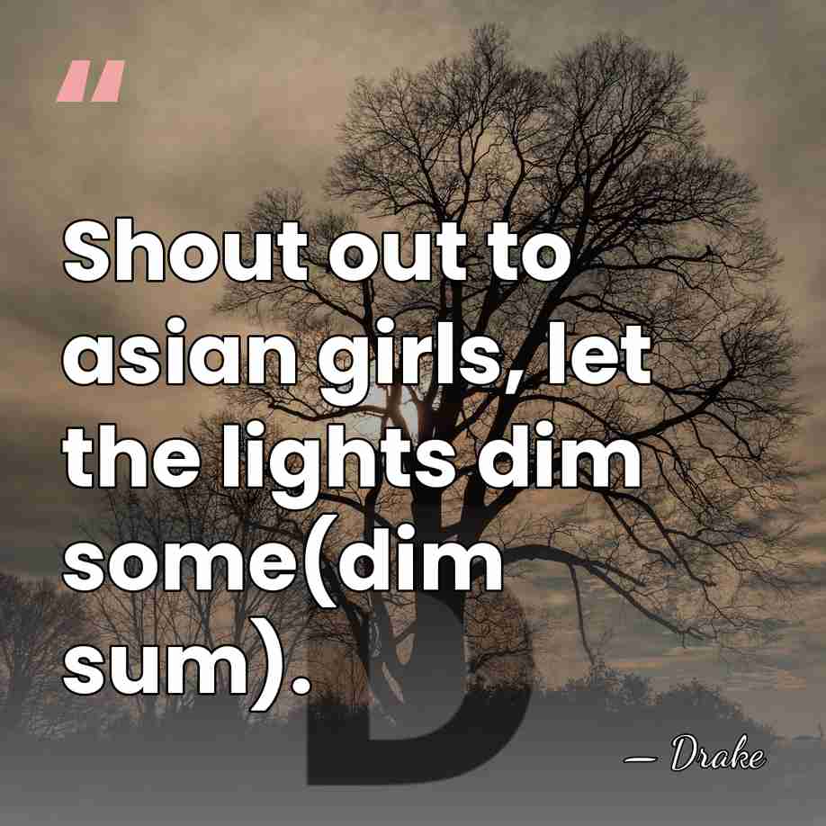 Shout out to asian girls, let the lights dim some(dim sum). - Drake
