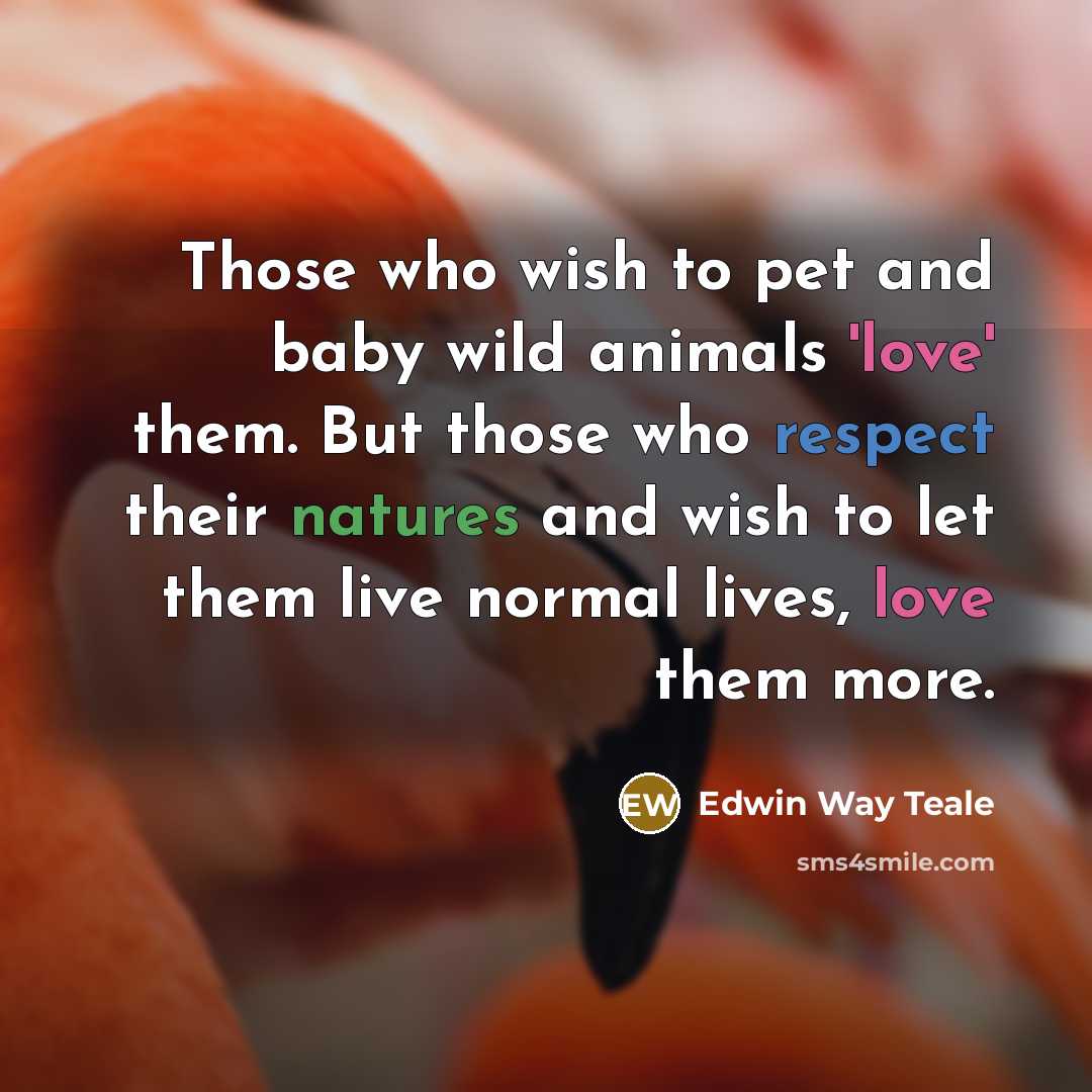 “Those who wish to pet and baby wild animals 'love' them. But those who respect their natures and wish to let them live normal lives, love them more.” quote by Edwin Way Teale