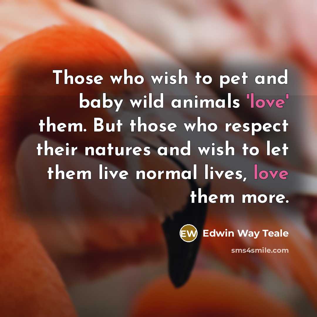 “Those who wish to pet and baby wild animals 'love'…” quote by Edwin Way Teale