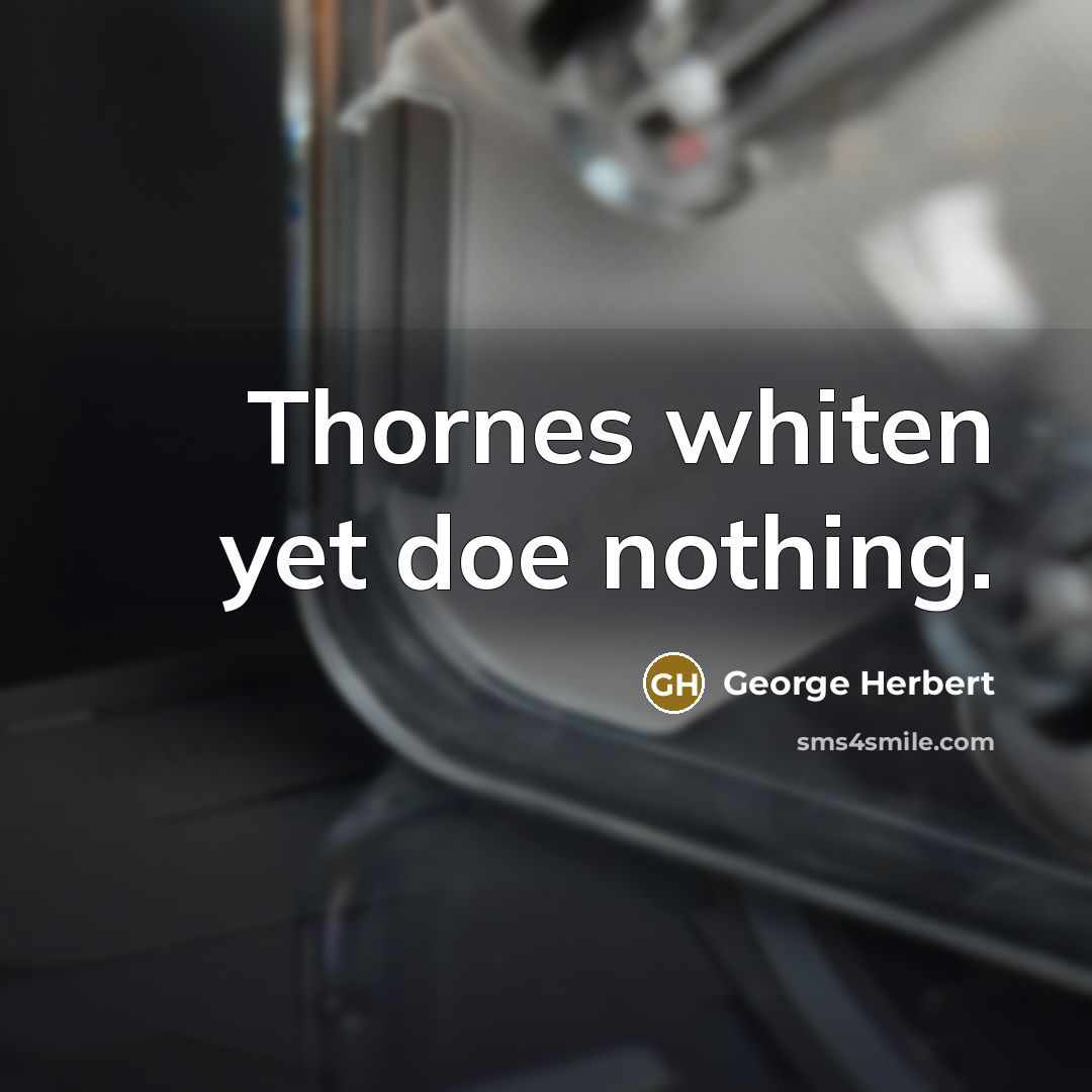 “Thornes whiten yet doe nothing.” quote by George Herbert