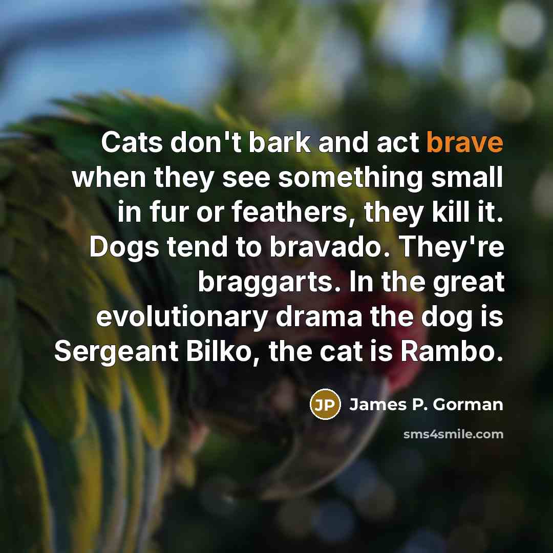 “Cats don't bark and act brave when they see something…” quote by James P. Gorman