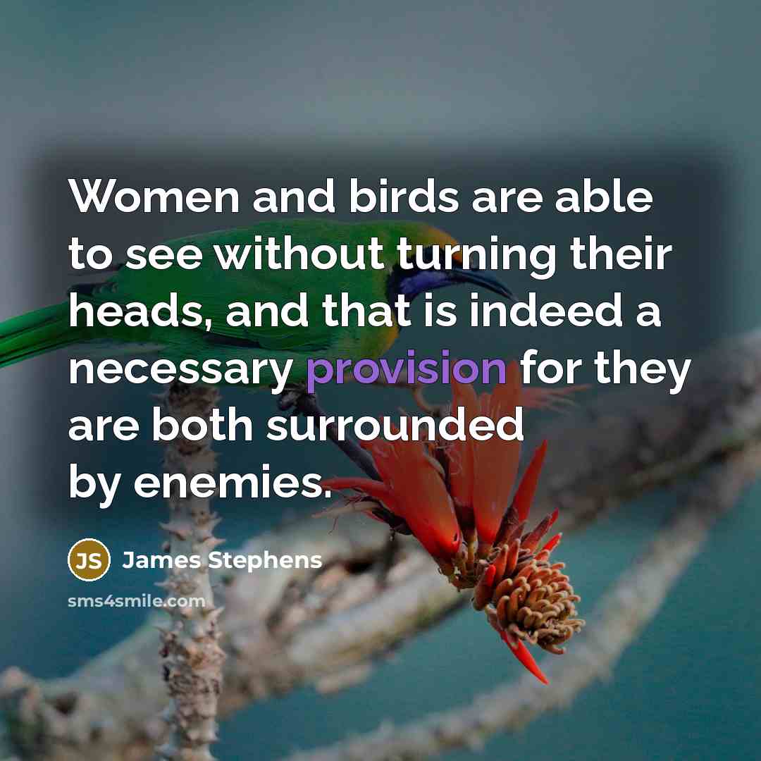 “Women and birds are able to see without turning their heads, and that is indeed a necessary provision for they are both surrounded by enemies.” quote by James Stephens