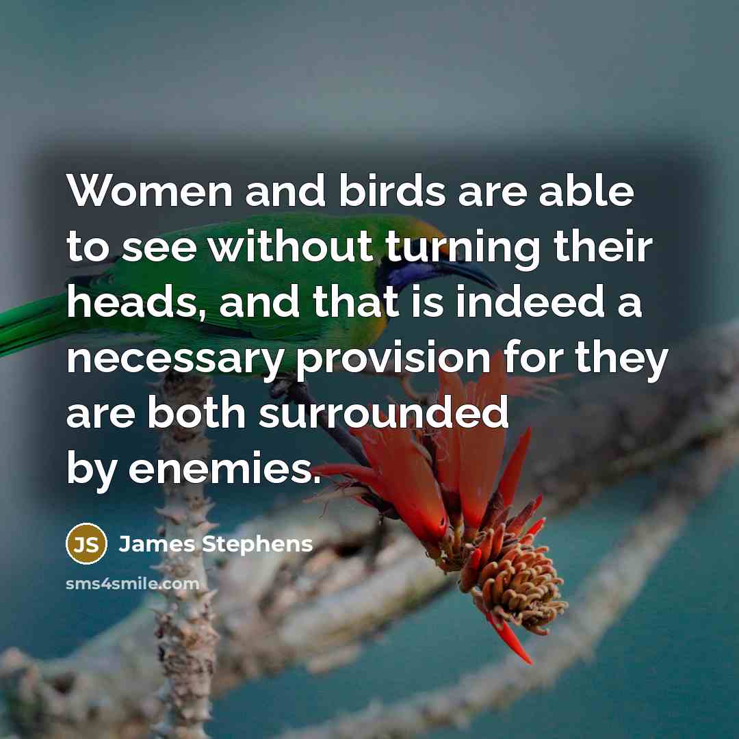 “Women and birds are able to see without turning their…” quote by James Stephens