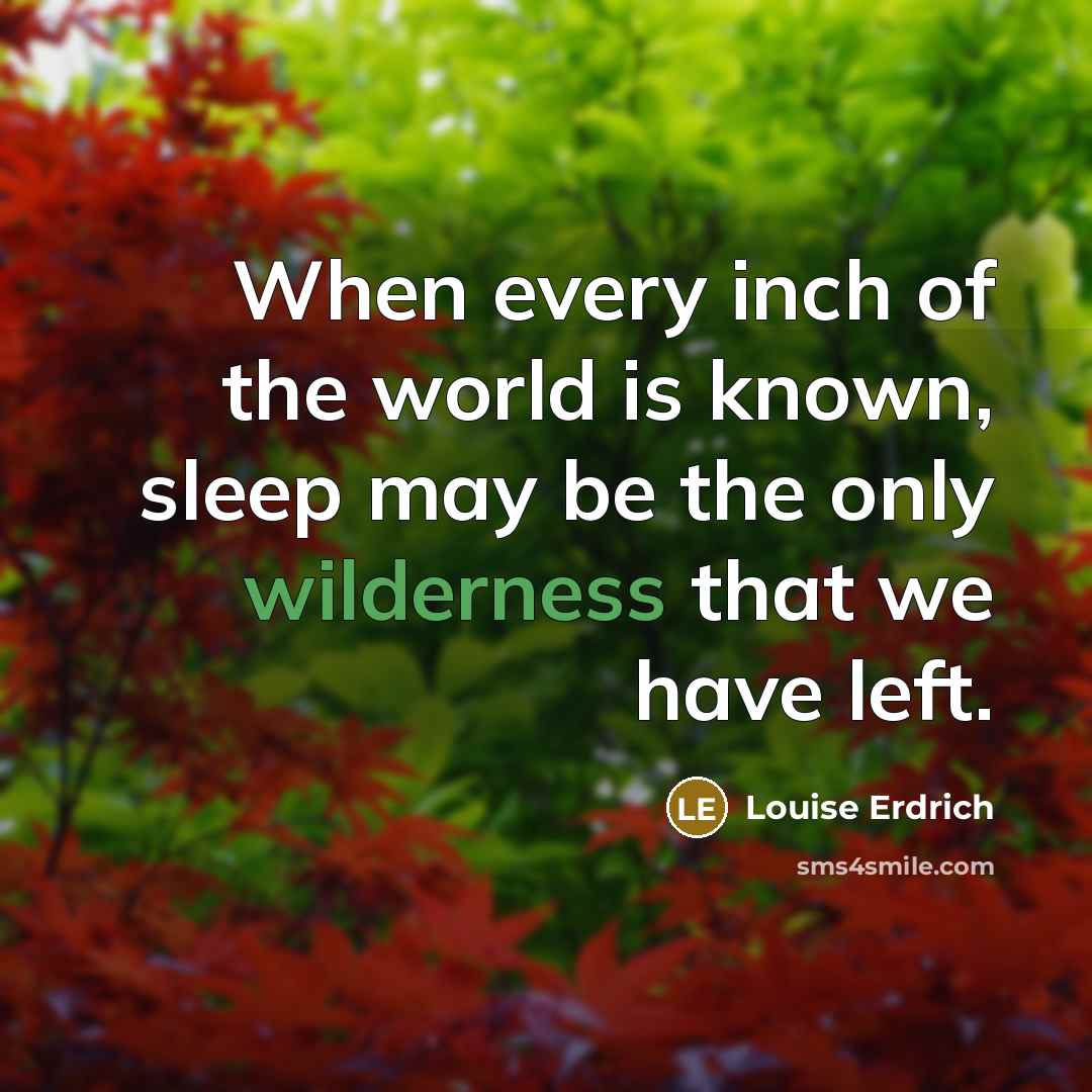 “When every inch of the world is known, sleep may…” quote by Louise Erdrich