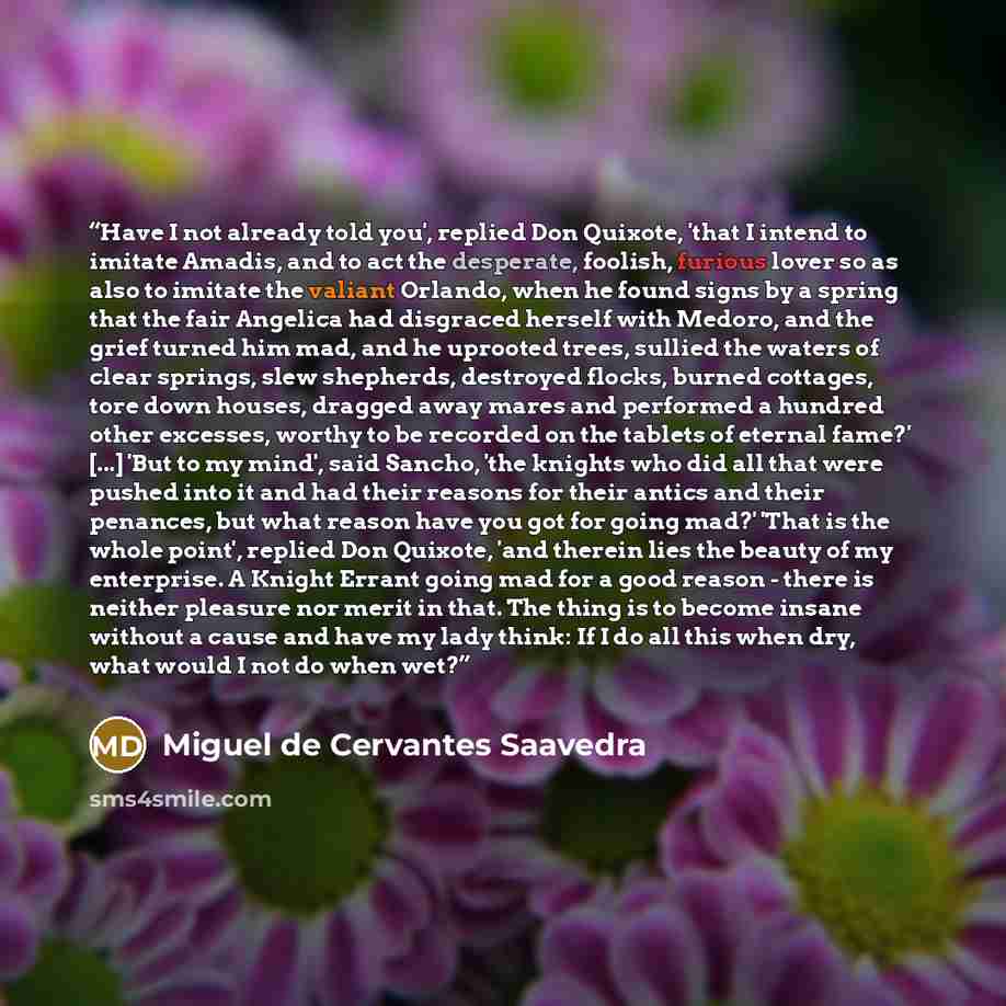 “Have I not already told you', replied Don Quixote, 'that I intend to imitate Amadis, and to act the desperate, foolish, furious lover so as also to imitate the valiant Orlando, when he found signs by a spring that the fair Angelica had disgraced herself with Medoro, and the grief turned him mad…” quote by Miguel de Cervantes Saavedra