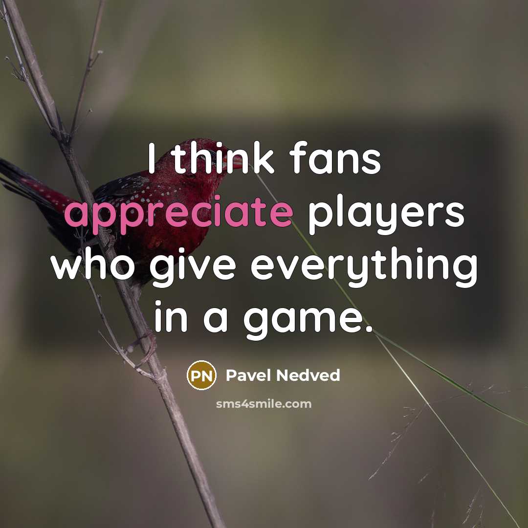 “I think fans appreciate players who give everything in a…” quote by Pavel Nedved