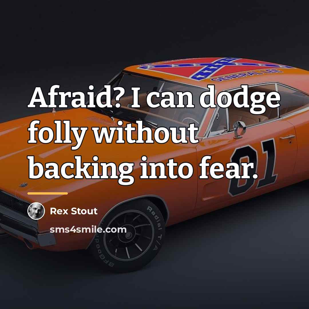 “Afraid? I can dodge folly without backing into fear.…” quote by Rex Stout