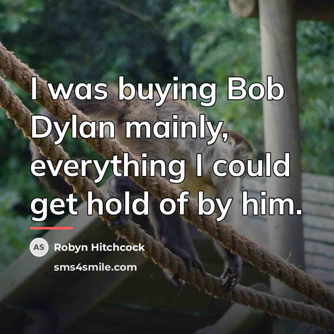 “I was buying Bob Dylan mainly, everything I could get…” quote by Robyn Hitchcock