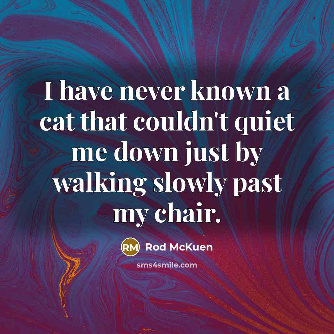 “I have never known a cat that couldn't quiet me…” quote by Rod McKuen