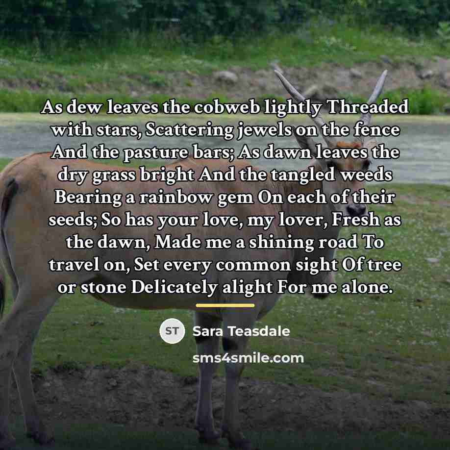 “As dew leaves the cobweb lightly Threaded with stars, Scattering…” quote by Sara Teasdale