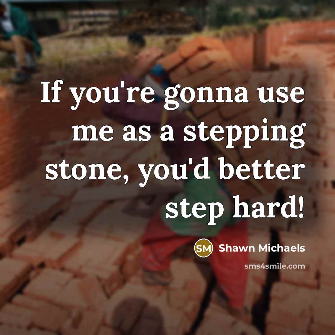“If you're gonna use me as a stepping stone, you'd…” quote by Shawn Michaels