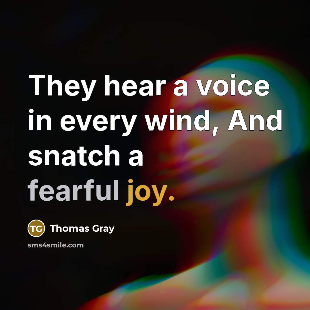 “They hear a voice in every wind, And snatch a…” quote by Thomas Gray