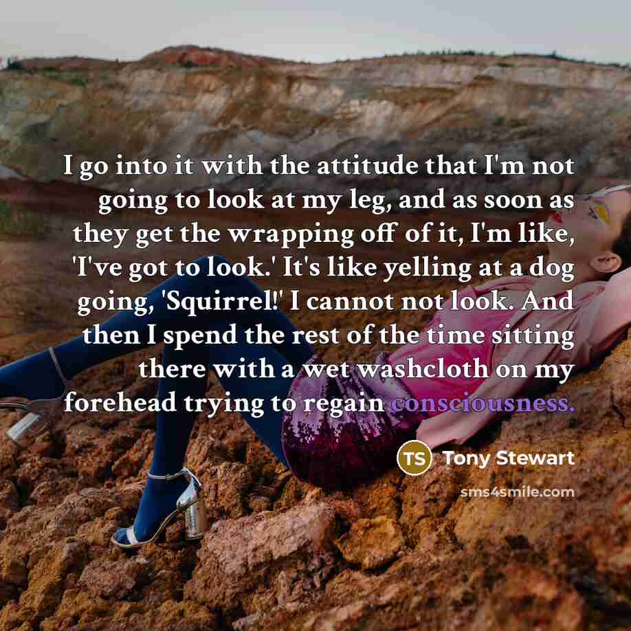 “I go into it with the attitude that I'm not…” quote by Tony Stewart