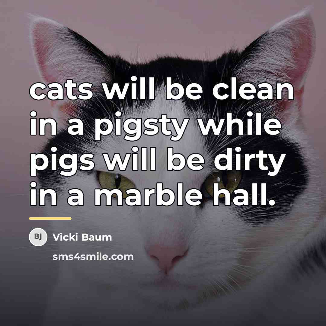 “cats will be clean in a pigsty while pigs will…” quote by Vicki Baum