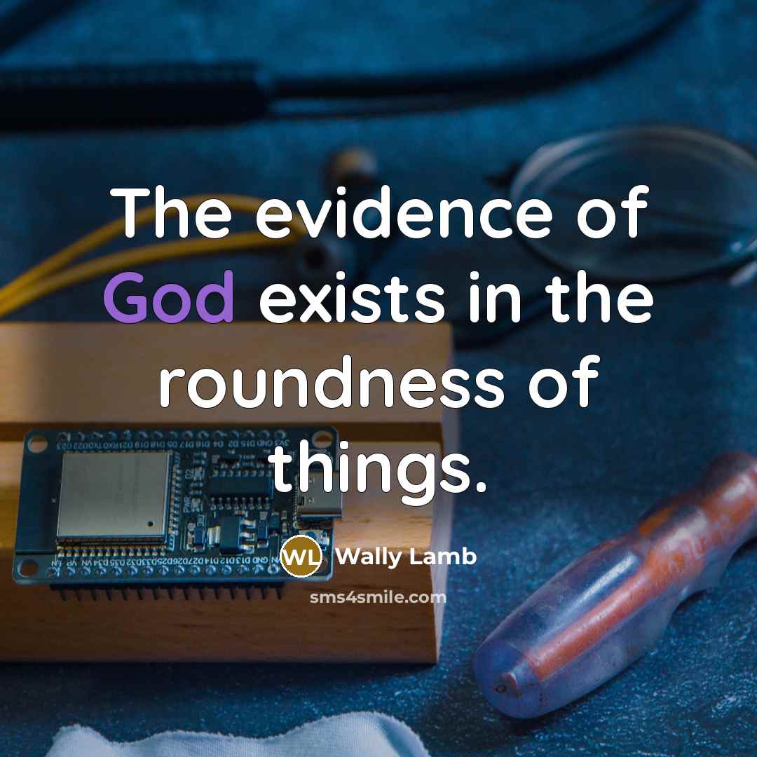 “The evidence of God exists in the roundness of things.…” quote by Wally Lamb