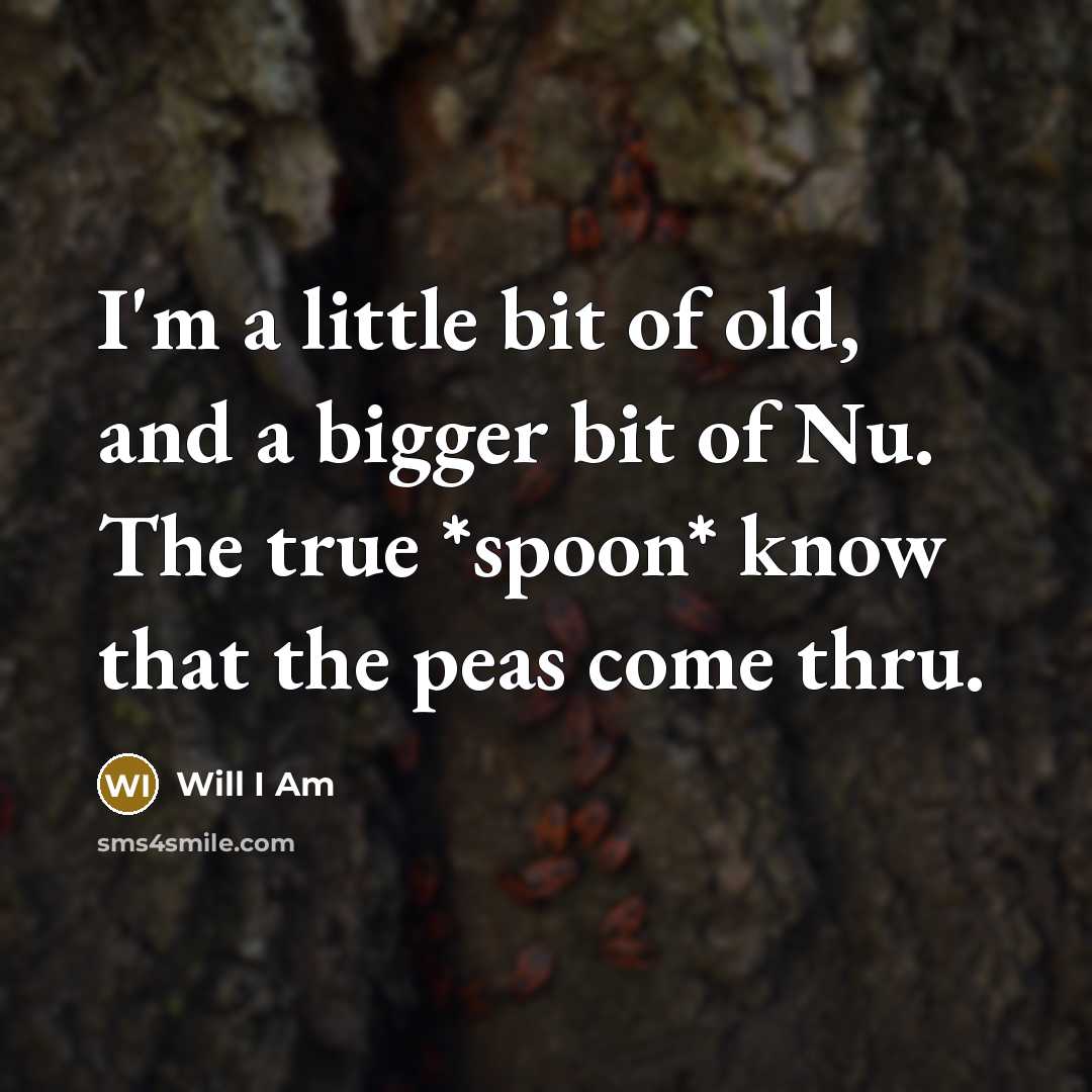 “I'm a little bit of old, and a bigger bit of Nu. The true *spoon* know that the peas come thru.” quote by Will I Am