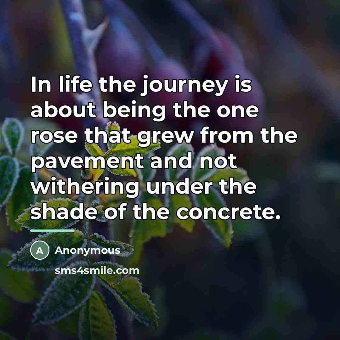 “In life the journey is about being the one rose…” quote by Anonymous