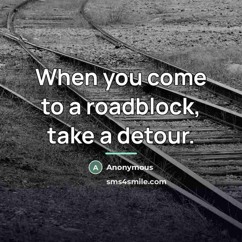 “When you come to a roadblock, take a detour.…” quote by Anonymous