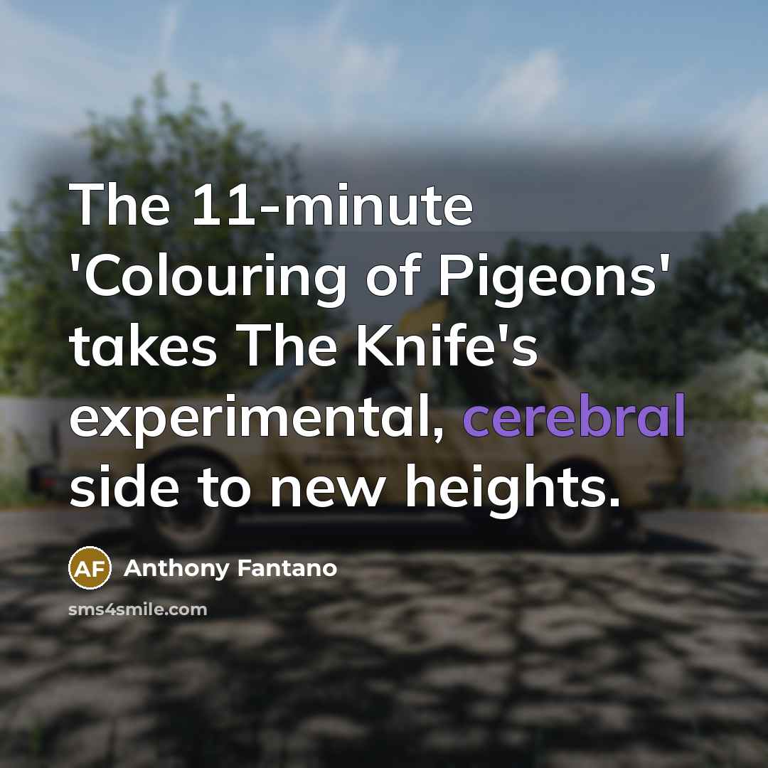 “The 11-minute 'Colouring of Pigeons' takes The Knife's experimental, cerebral…” quote by Anthony Fantano