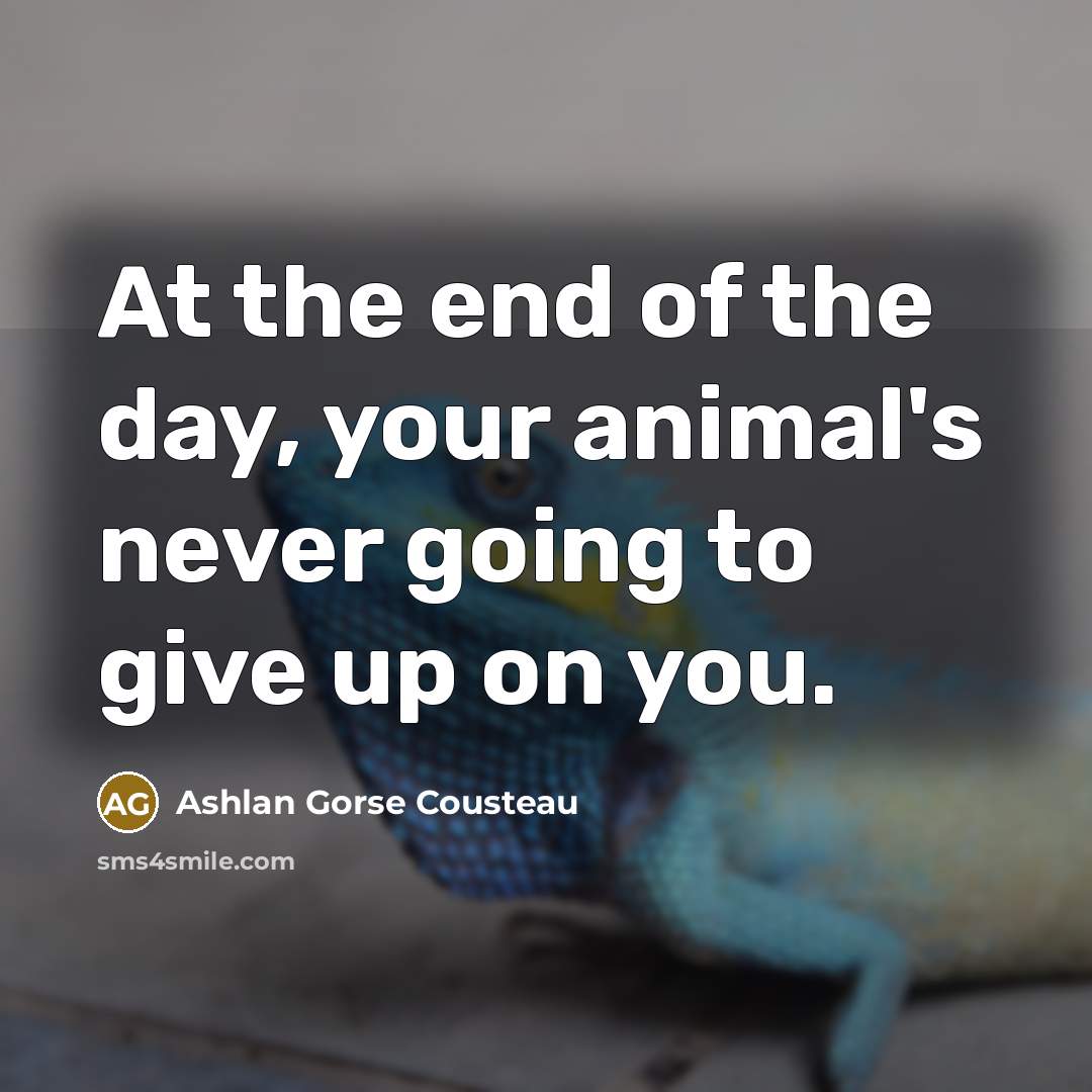 “At the end of the day, your animal's never going…” quote by Ashlan Gorse Cousteau