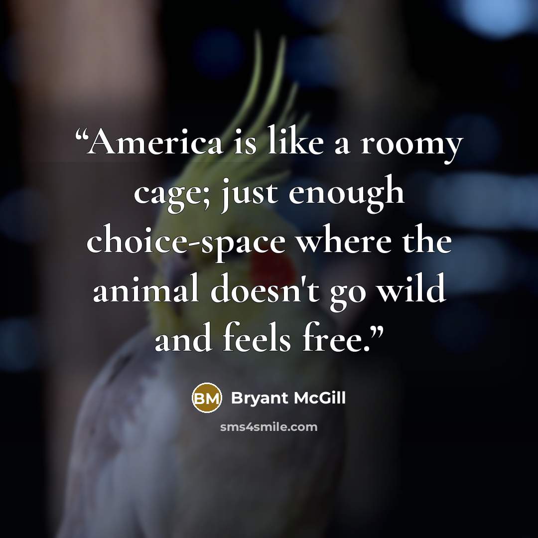 “America is like a roomy cage; just enough choice-space where the animal doesn't go wild and feels free.” quote by Bryant McGill