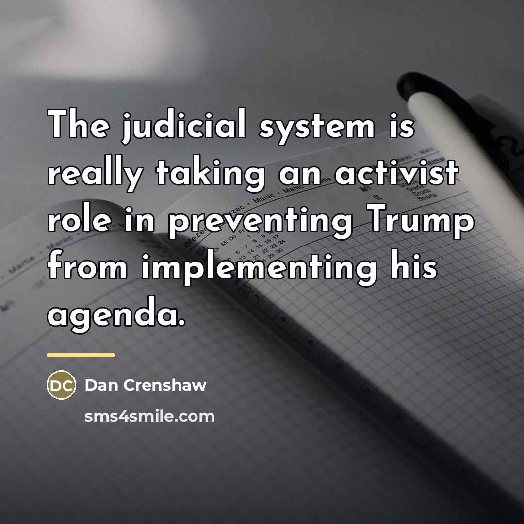 “The judicial system is really taking an activist role in…” quote by Dan Crenshaw