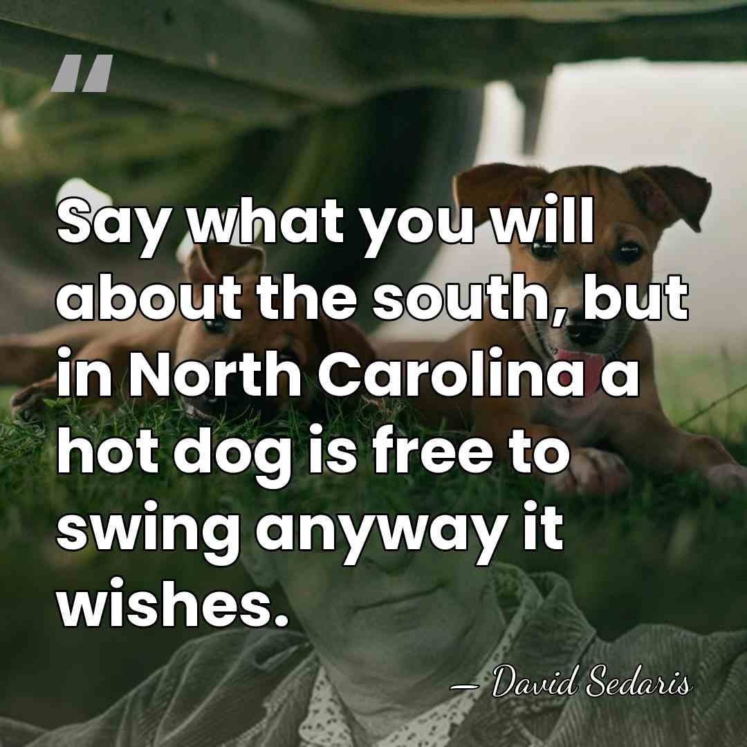 Say what you will about the south, but in North Carolina a&hellip; - David Sedaris