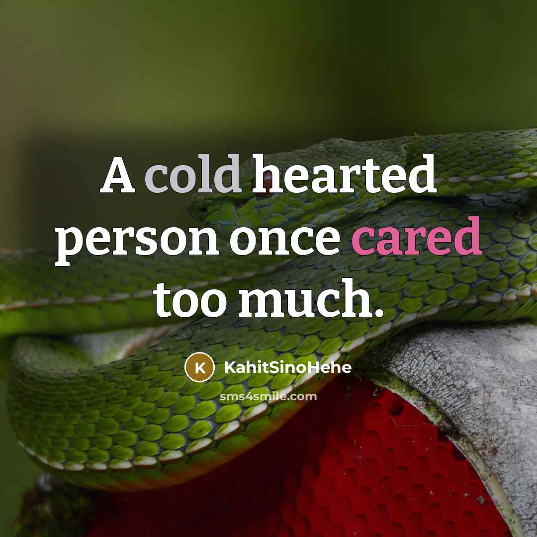 “A cold hearted person once cared too much.” quote by KahitSinoHehe