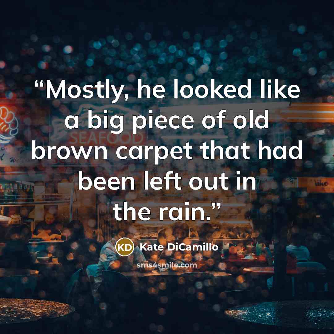 “Mostly, he looked like a big piece of old brown carpet that had been left out in the rain.” quote by Kate DiCamillo
