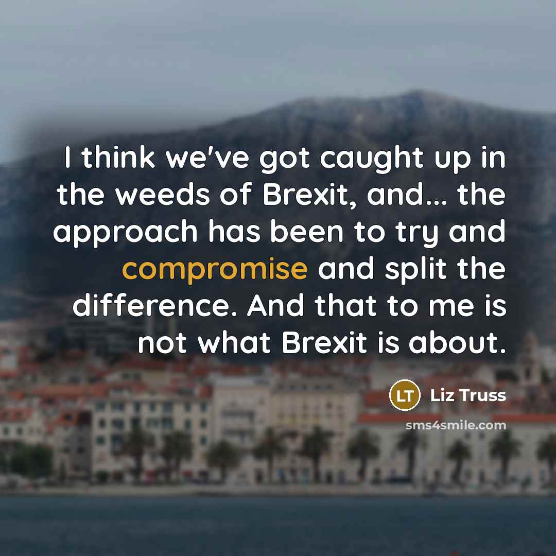 “I think we've got caught up in the weeds of…” quote by Liz Truss