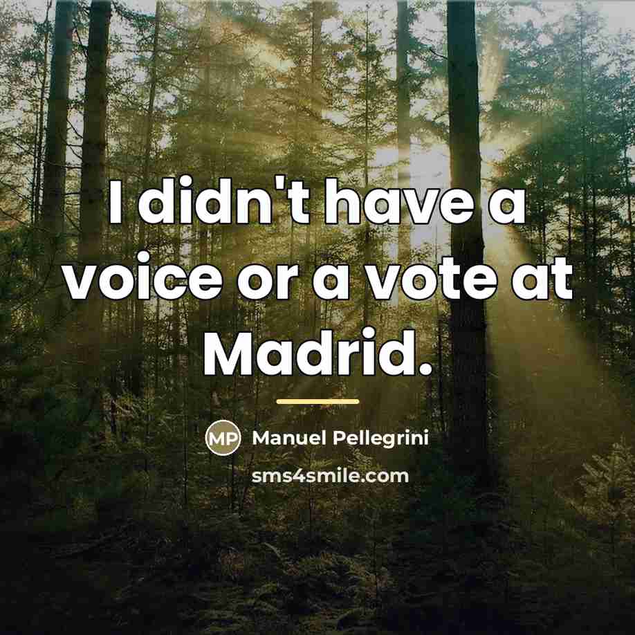 “I didn't have a voice or a vote at Madrid.…” quote by Manuel Pellegrini