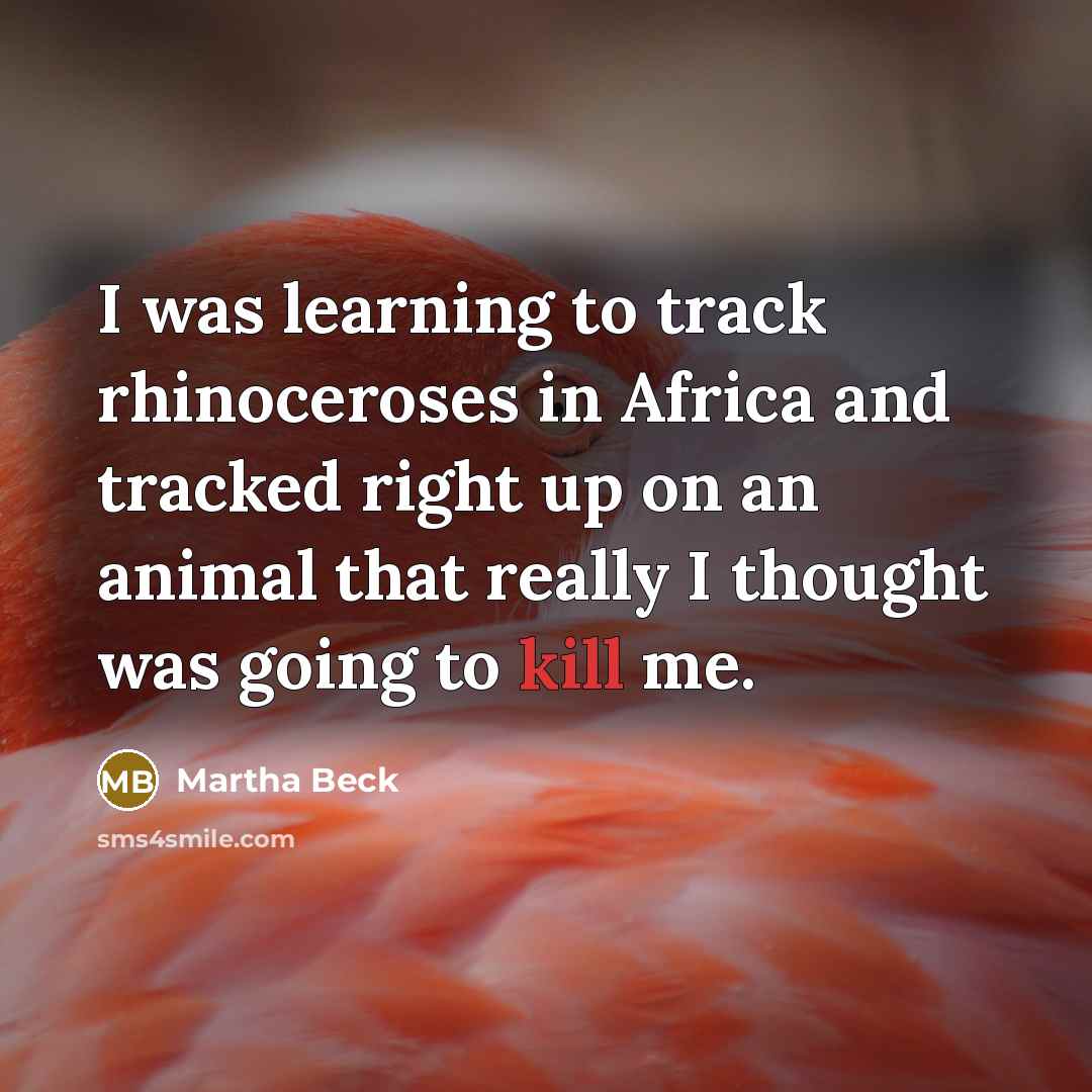 “I was learning to track rhinoceroses in Africa and tracked…” quote by Martha Beck
